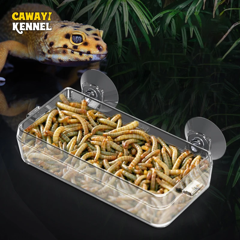 Pet Supplies Is Food - Karmnik dla gadów Cawayi Kennel, przezroczysty,