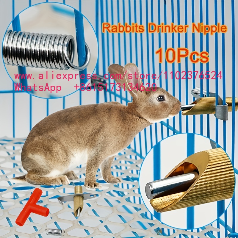 Automatic Pet Feeder - 10 szt. Poidła dla królików, automatyczne