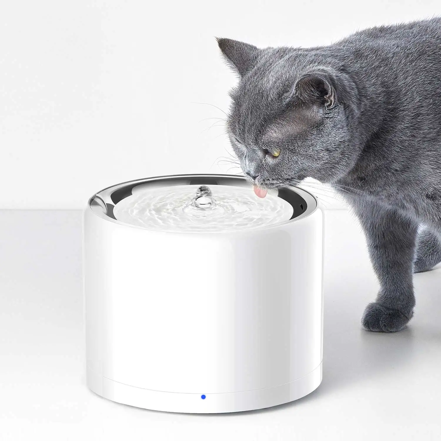 Fontanna dla zwierząt Pet Smar – Automatic Pet Feeder recenzja i cena