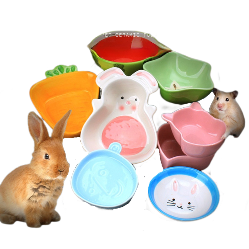 1PC Miska do karmienia chomikó – Pet Supplies Is Food recenzja i cena