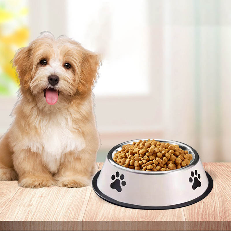 Miska dla zwierząt ze stali ni – Pet Supplies Is Food recenzja i cena