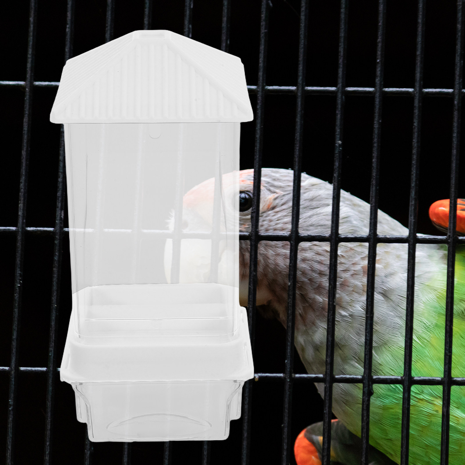 Automatyczny karmnik dla ptakó – Automatic Pet Feeder recenzja i cena
