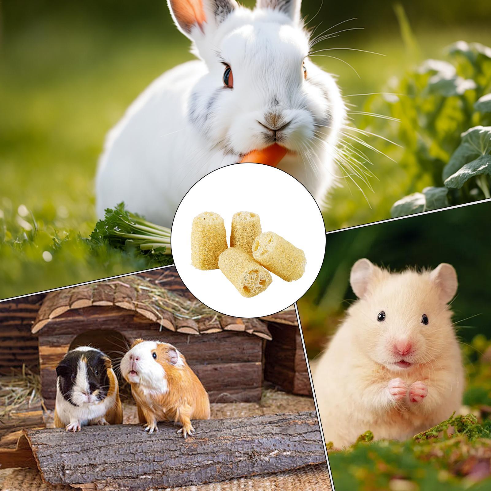 Zabawki do żucia dla królików  – Pet Supplies Pet Shop recenzja i cena